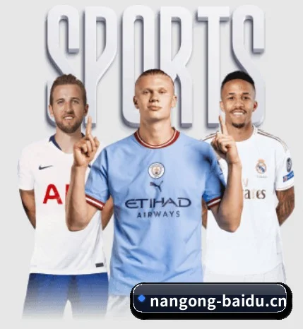 NG28 APP 界面